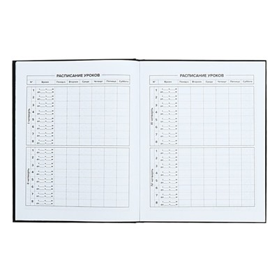 Дневник школьный для 1-11 классов, 48 листов "Главное", твёрдая обложка, "софт-тач", универсальная шпаргалка, блок 65г/м2