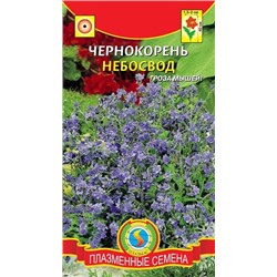 Чернокорень Небосвод  (Код: 92224)