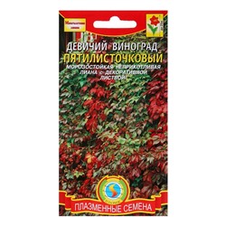 Семена цветов Виноград "Девичий", 4 шт.