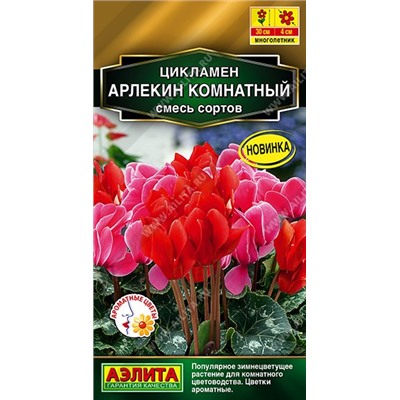 Цикламен Арлекин  (Код: 89982)