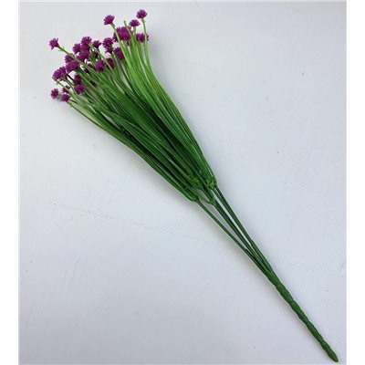 Мимоза фиолетовая 35 см, декоративное растение