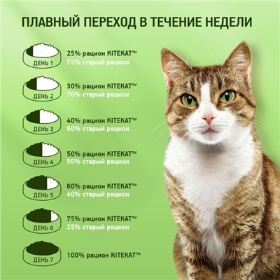 Сухой корм KiteKat "Аппетитная телятинка" для кошек, 1,9 кг