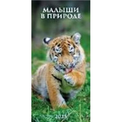 Календарь настенный перекидной на пружине 2025 г. 165х335 мм "Малыши в природе" 0625004 Атберг