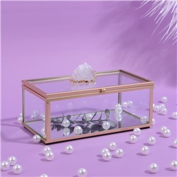 Органайзер для хранения «MOUNTAINS», с крышкой, стеклянный, с зеркальным дном, 1 секция, 14,5 × 8,5 × 6 см, цвет прозрачный/медный