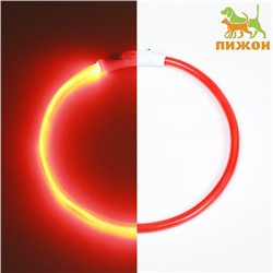 Ошейник - кольцо с подсветкой, зарядка от USB, до 70 см, 3 режима свечения, красный