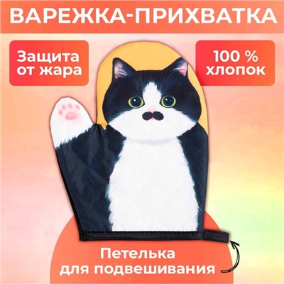 Варежка Доляна Котики "Бориска" 24*18 см, 100% п/э