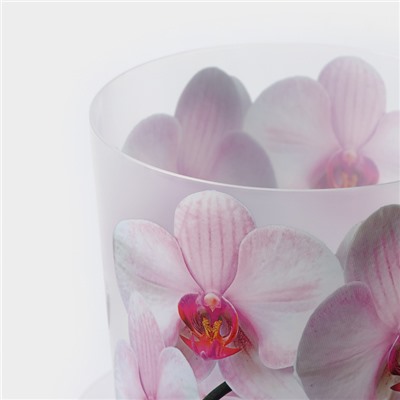 Горшок для орхидей с поддоном «Деко», 1,2 л цвет белый