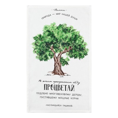 Набор кухонных полотенец Доляна «Процветай», 35х60см-2шт, 100% хлопок