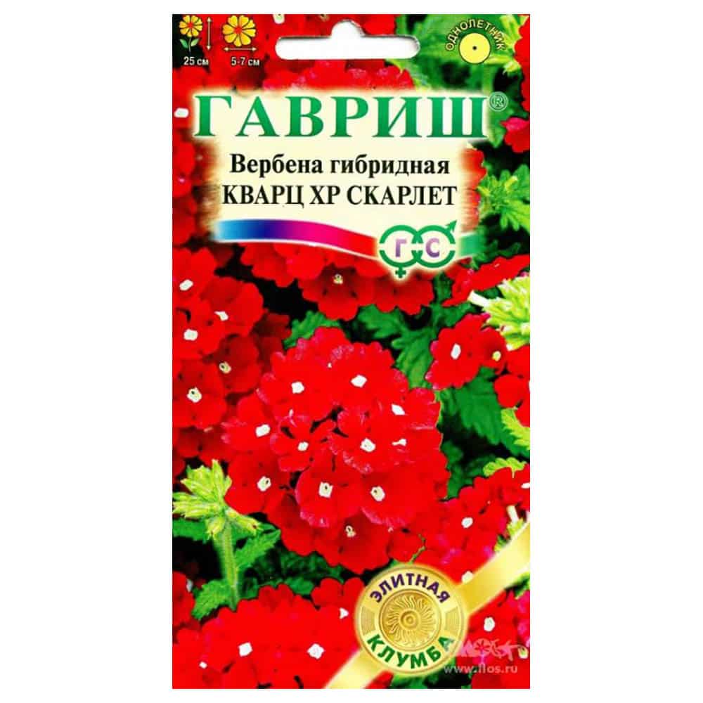 Семена цветов гавриш. Вербена кварц хр Скарлет 5шт Гавриш, шт. Вербена гибридная кварц хр Скарлет. Вербена гибридная кварц Скарлет. Вербена кварц хр Скарлет 5шт. Гав..