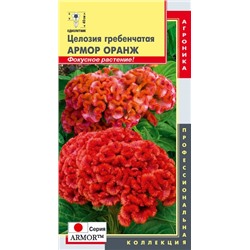 Целозия Гребенчатая Оранж Амор (Код: 92220)