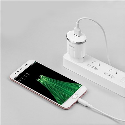 Адаптер Сетевой с кабелем Hoco C37A (повр. уп.) USB 2,4A/10W (USB/Micro USB) (white)