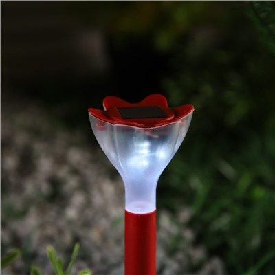 Садовый светильник на солнечной батарее «Цветок красный», 6 × 29 × 6 см, 1 LED, свечение белое