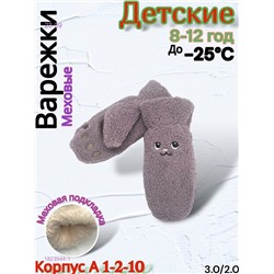 Детские варежки 1823944-1