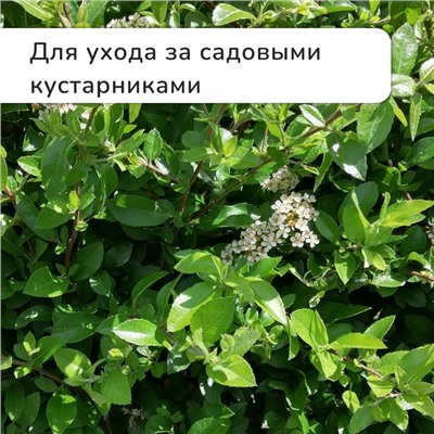 Секатор плоскостной, 8" (20 см), с металлическими ручками, МИКС, Greengo