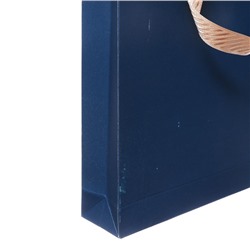 УЦЕНКА Органайзер на кольцах А5, 80 листов, линейка, кожзам, с ручкой, в подарочной коробке, голубой