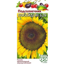 Подсолнечник Посейдон 625 (Код: 92665)