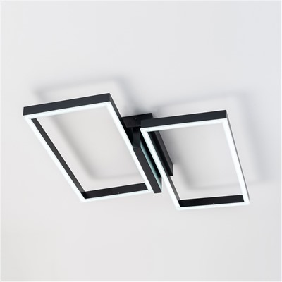 Потолочный светильник Escada 10209/2 LED*60W Black