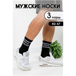 Носки Школа мужские 3 пары (Черный)