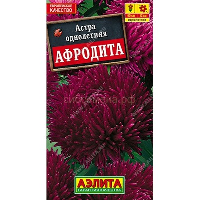 Астра Афродита (Аэлита)