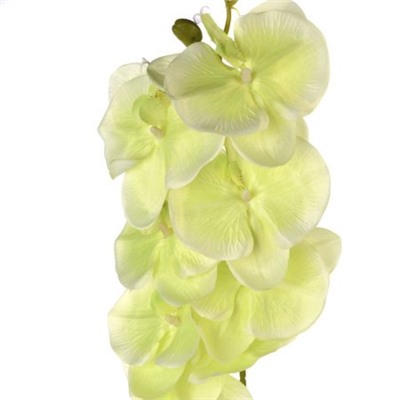 Цветок искусственный Орхидея 105 см 8 цветков / FD150 /уп 30/300/
