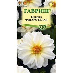 Георгина Фигаро белая (Код: 92758)