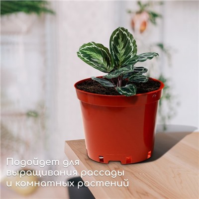 Горшок для рассады, 5 л, d = 22 см, h = 18 см, терракот, Greengo