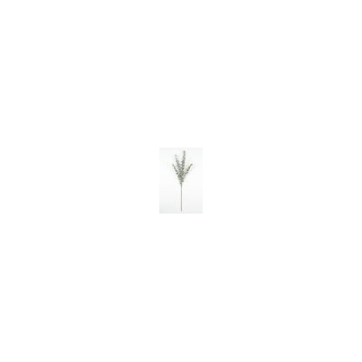 Искусственные цветы, Ветка эвкалипт 5 веток (1010237)