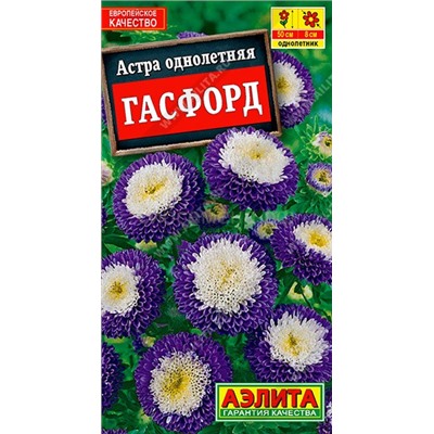 Астра Гасфорд помпонная (Аэлита)