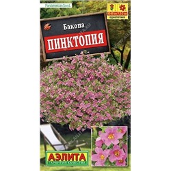 Бакопа Пинктопия (Аэлита)