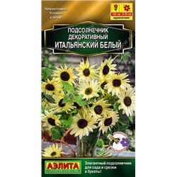 Подсолнечник Итальянский белый декоративный (Аэлита)