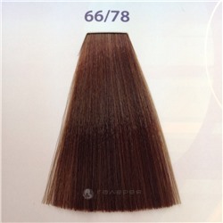 66/78 краска для волос / ESCALATION EASY ABSOLUTE 3 60 мл