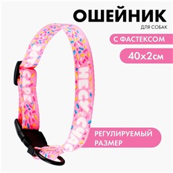 Ошейник «Несу счастье», застёжка - фастекс, 2 см 25-40 см