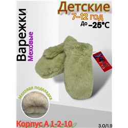 Детские варежки 1831928-9