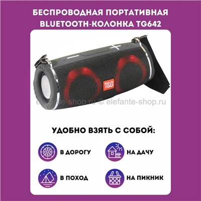 Портативная беспроводная Bluetooth колонка TG 642 Grey (15)