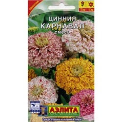 Цинния Карнавал (Аэлита)