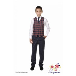 Школьный костюм двойка для мальчика 197-21