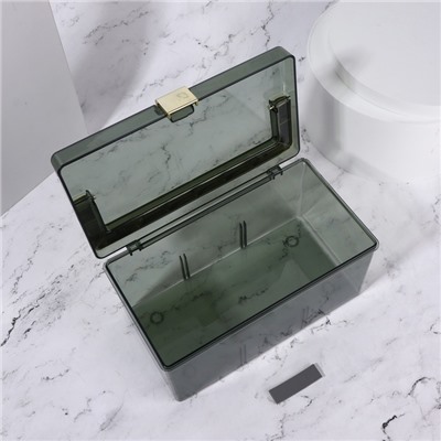 Органайзер для хранения, с ручкой, 21,5 × 12 см, цвет зелёный/золотистый