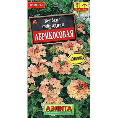 Вербена Абрикосовая (Код: 90989)