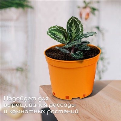 Горшок для рассады, 5 л, d = 22 см, h = 18 см, жёлтый, Greengo