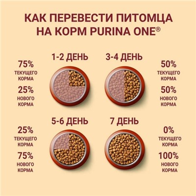 Сухой корм Purinа One medium/maxi для взрослых собак, курица/рис, 10 кг