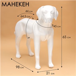 Манекен собаки, стоячий, разборный, фибергласс,  белый