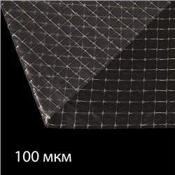 Плёнка армированная для теплиц Greengo, полиэтиленовая с леской, УФ-стабилизированная, 10 × 2 м, 100 мкм