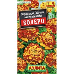 Бархатцы Болеро отклон. (Аэлита)