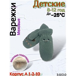 Детские варежки 1823944-2