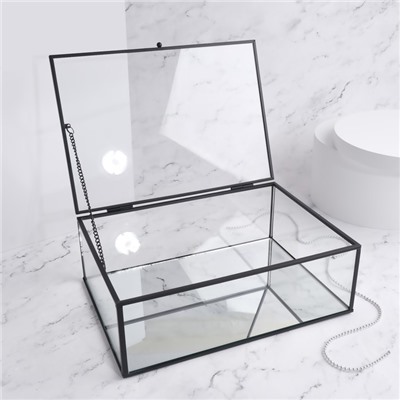 Органайзер для хранения, 1 секция, с крышкой, стеклянный, с зеркальным основанием, 25 × 17,5 см, цвет прозрачный/чёрный