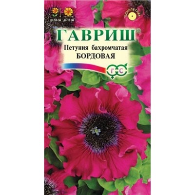 Петуния Бордовая бахромчатая (Код: 74213)