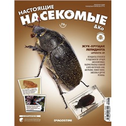 Журнал №76 "Настоящие насекомые" С ВЛОЖЕНИЕМ! Жук-хрущак лепидиота