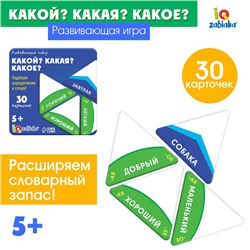 Развивающий набор «Какой? какая? какое?»