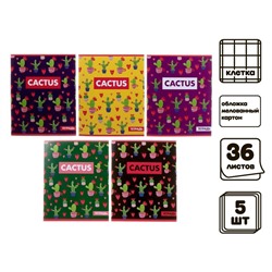 Комплект тетрадей из 5 штук, 36 листов в клетку Calligrata "Кактус", обложка мелованный картон, блок офсет