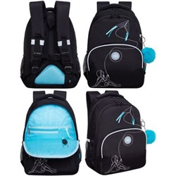 Рюкзак школьный RG-360-8/2 черный - голубой 27х40х20 см GRIZZLY